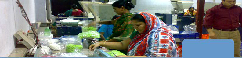 Imam Button Industries Ltd.